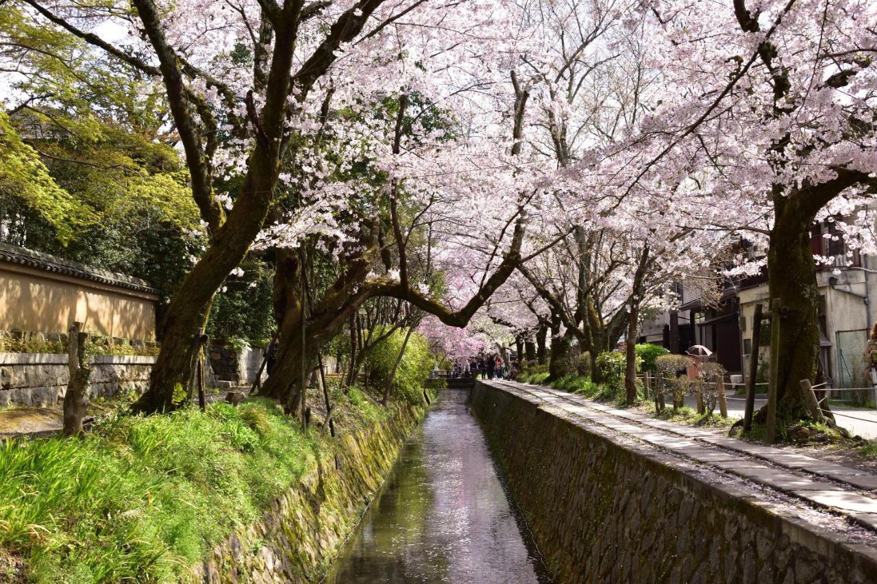 Rejoice Stay Kyoto Nijojo Minami Eksteriør billede